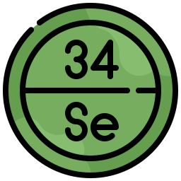 selenium icoon