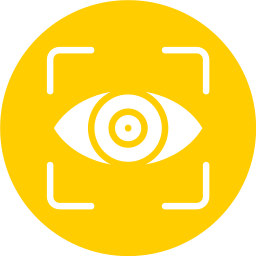 Vision icon