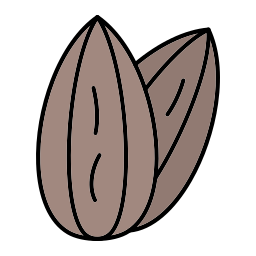 Almond icon