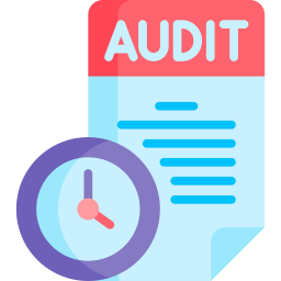 Audit icon