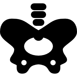 kość biodrowa ikona