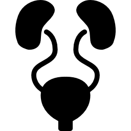 sistema urinario icono