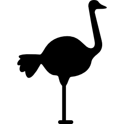 struisvogel naar rechts icoon