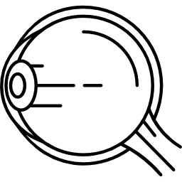 struttura del bulbo oculare icona