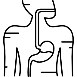 sistema digestivo Ícone