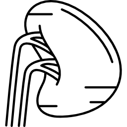 menselijke milt icoon