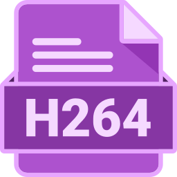 H264 icon