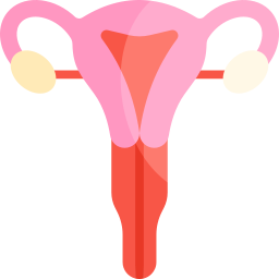 Uterus icon