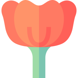 Poppy icon