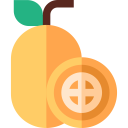 Kumquat icon