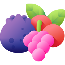 Berries icon