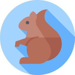 Squirrel icon