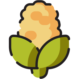 Corn icon