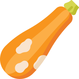 Squash icon