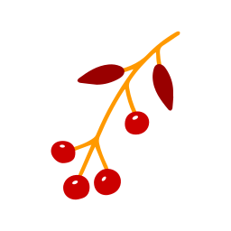 beeren icon