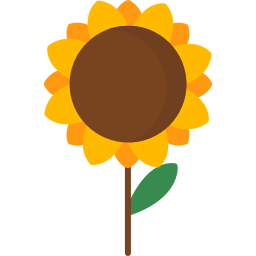 Sunflower icon