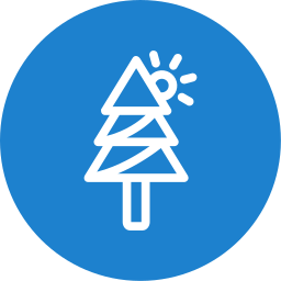 Pine tree icon