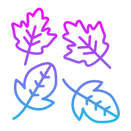 Leaves icon