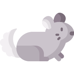 chinchilla Icône