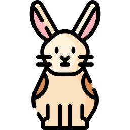 lapin Icône