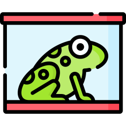 frosch icon