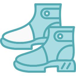 Boots icon