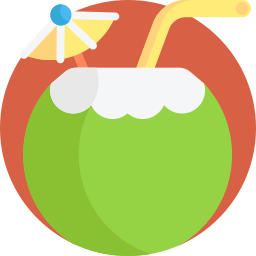 Coconut drink icon