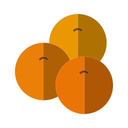 Orange icon