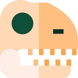 Skull icon