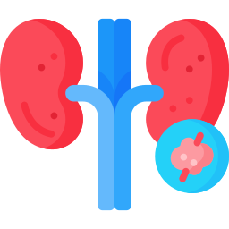 腎臓がん icon