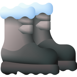 Snow boots icon