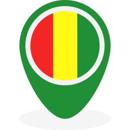 guinée Icône