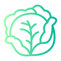 Cabbage icon