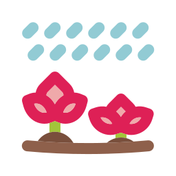 Flower icon