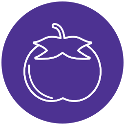 Persimmon icon