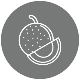 Cantaloupe icon