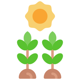 Photosynthesis icon