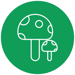 Mushroom icon