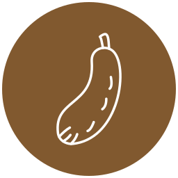 Bitter gourd icon