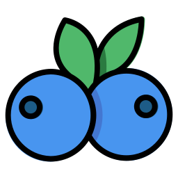 Blueberries icon