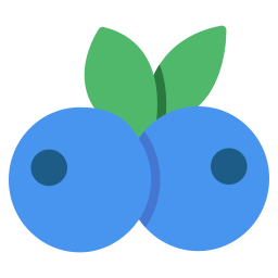 Blueberries icon