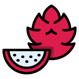 drachenfrucht icon