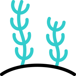 Seaweed icon