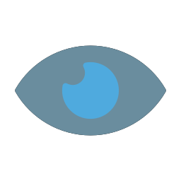 Eye icon