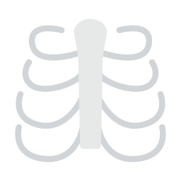 Rib cage icon