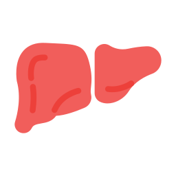 Liver icon