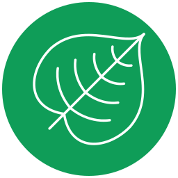 Leaf icon