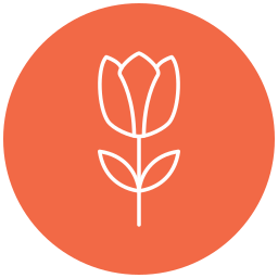 tulpe icon