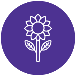 sonnenblume icon