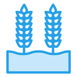 Зерна пшеницы иконка